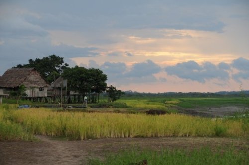 1927655_1065352308462_3795_n