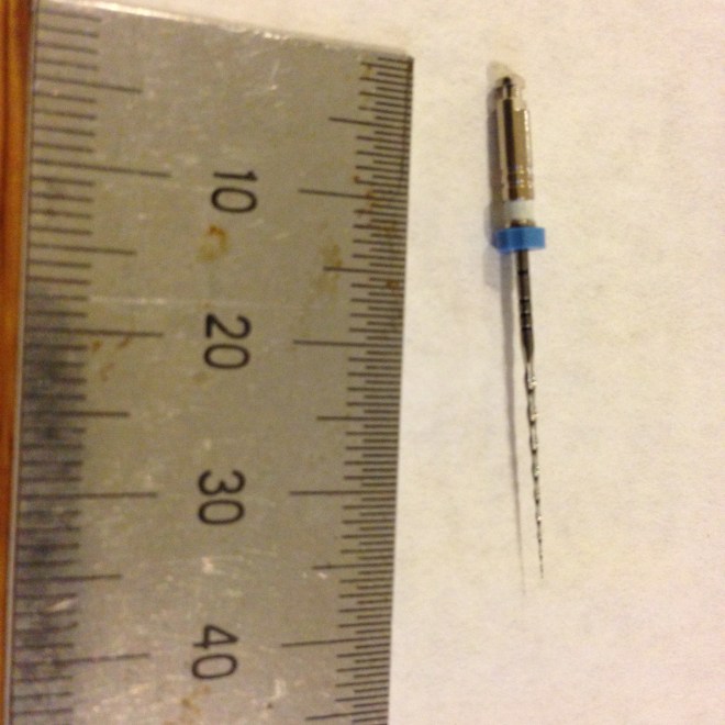 The nickel titanium reamer.  1mm diameter tapering down to 10 microns.