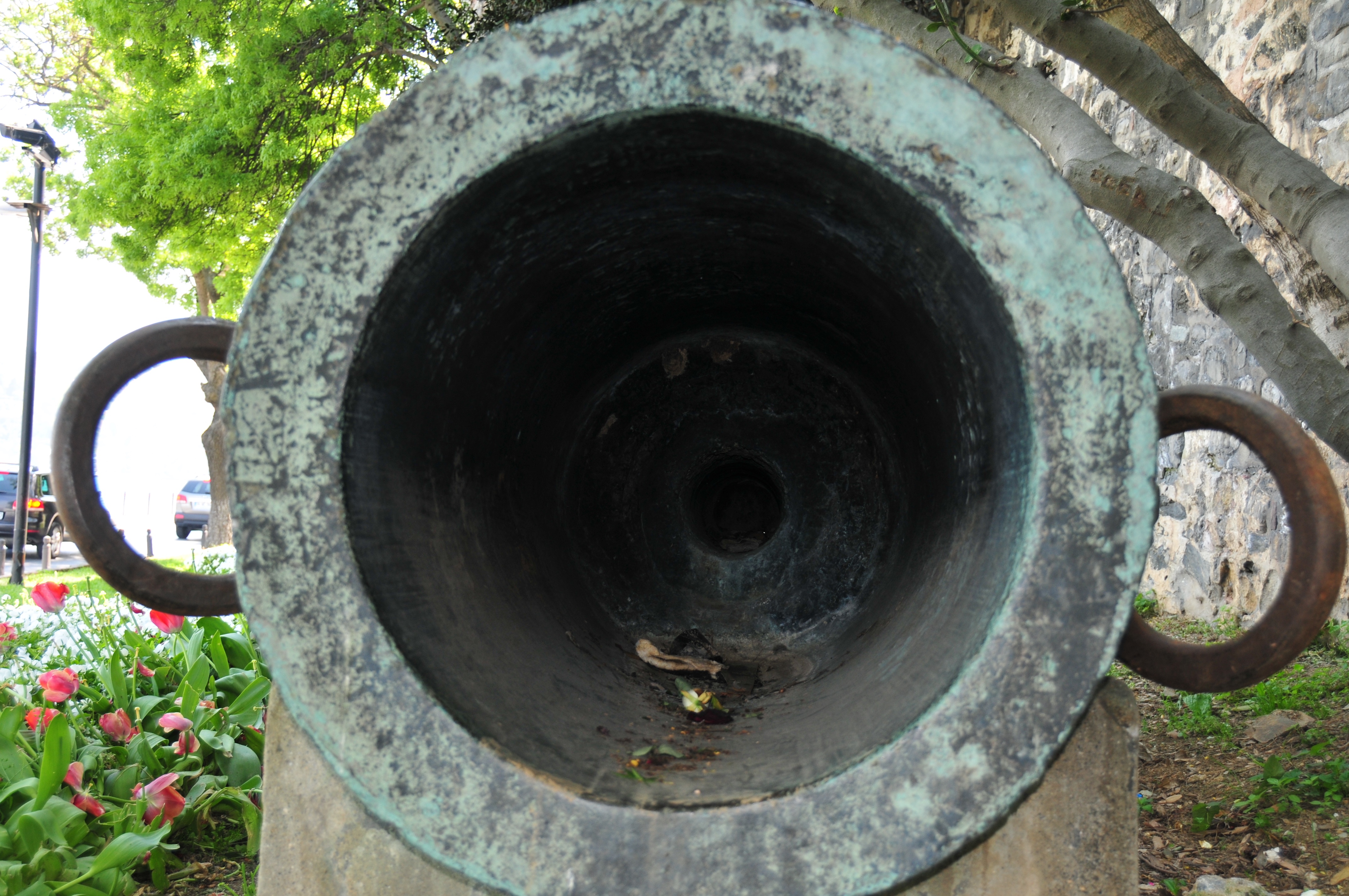 large cannon bore.jpg